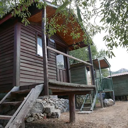 Catchy Camping Alinca *