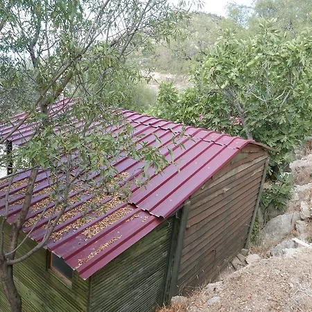 Campsite Catchy Camping Alinca Faralya