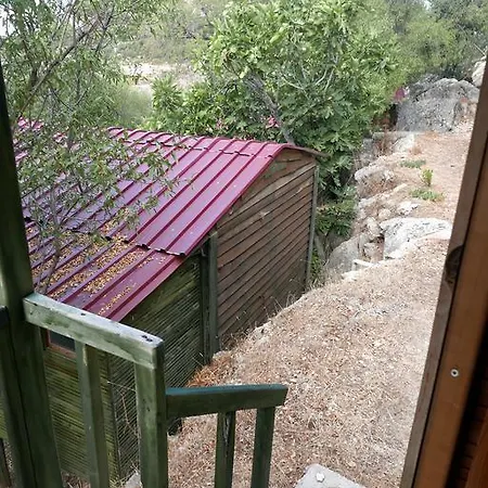 Κάμπινγκ Catchy Camping Alinca *