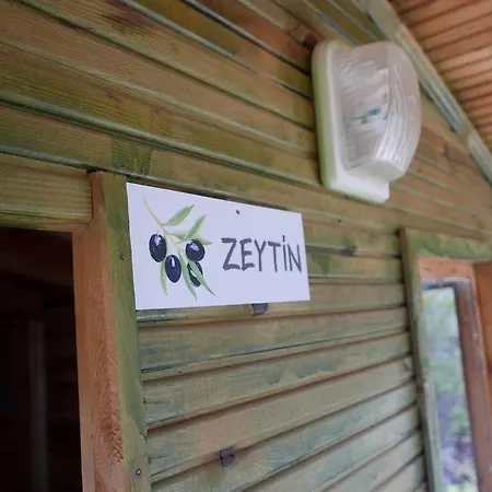 Κάμπινγκ Catchy Camping Alinca