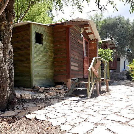 Catchy Camping Alinca