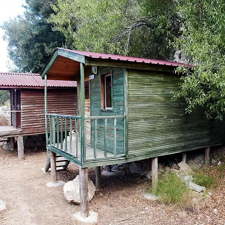 Campsite Catchy Camping Alinca *